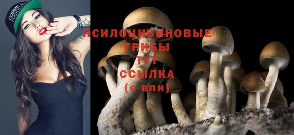 ешки Нязепетровск