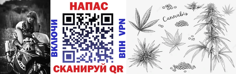 Шишки марихуана сатива  сколько стоит  Власиха 